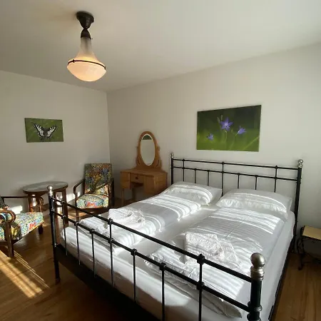 Haus Im Gruenen 아파트 살펠덴암스타이너르넨미어