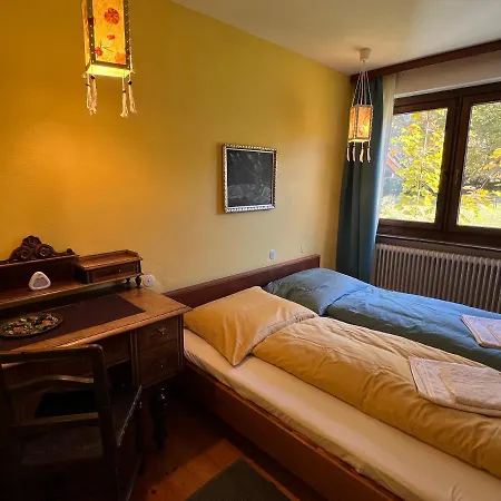 Haus Im Gruenen Saalfelden